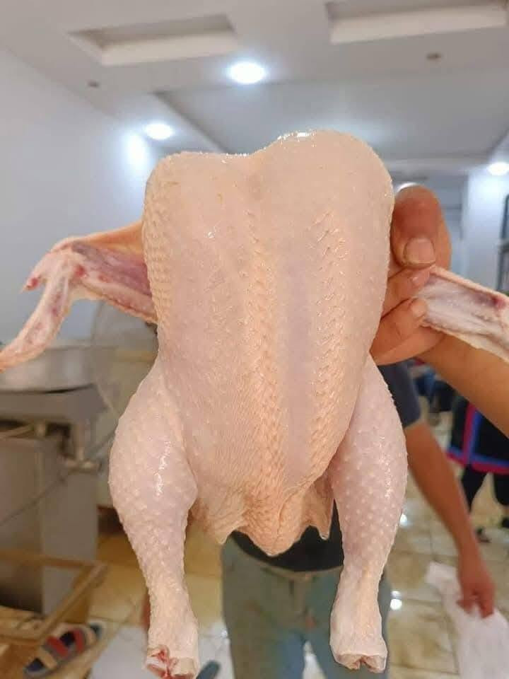 علوة دجاج علاء الله ماصلي علا محمد والي محمد


**إذا كنت صاحب هذا الإعلان وتريد حذفه لأي سبب، رجاءا أرسل رسالة إلى الدعم الفني**
