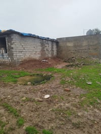 السليمانية • ارض 100م • قرب مسجد حاجي حمد