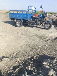 ستوته • دايوان • ٢٠١٩