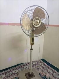 بانكه • نضيفه • قوسيات