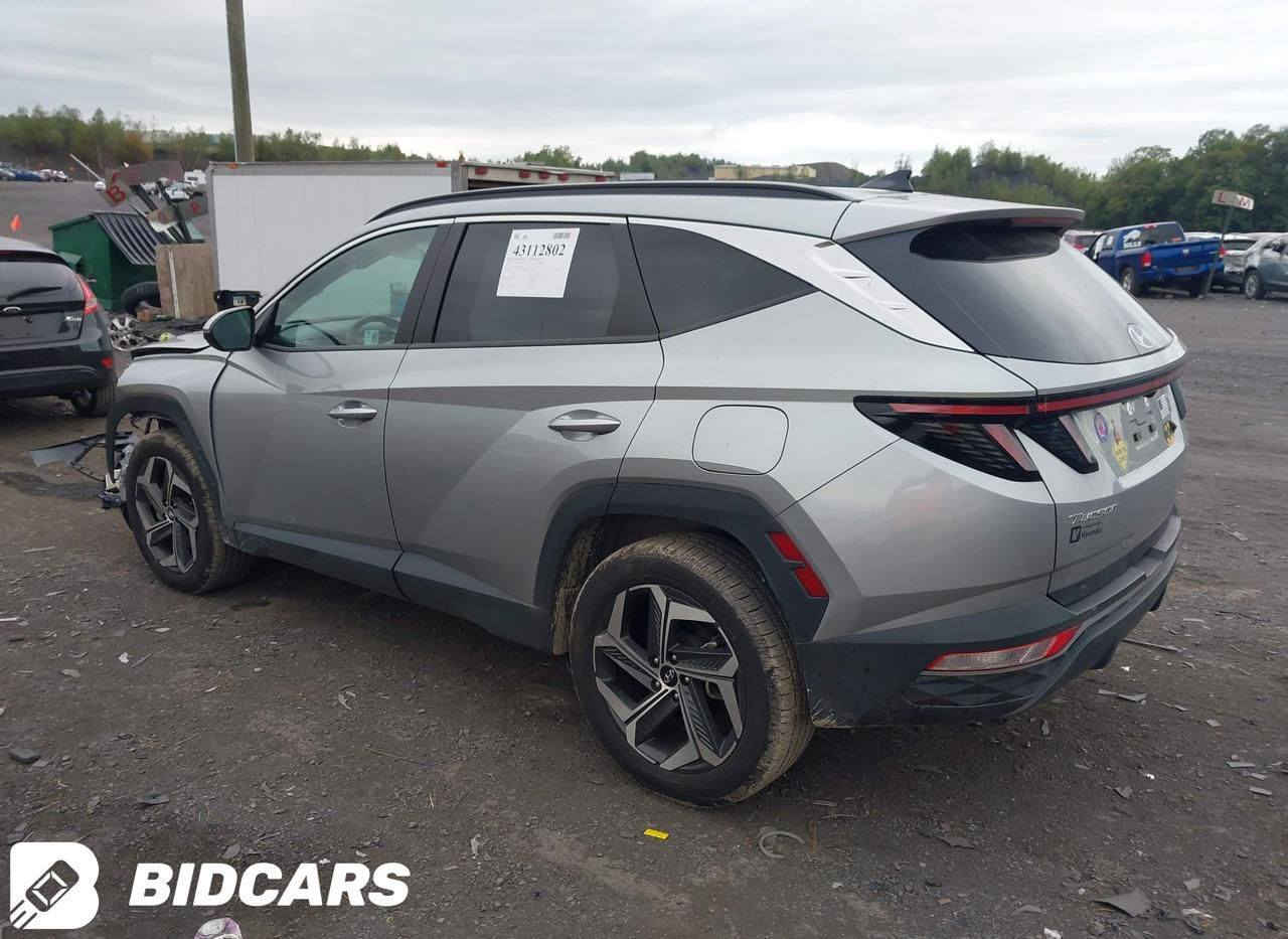 السعر : 165$ فتحه بصمه جلد
توكسان لمتد 2024 
مصلح واصل ميناء

٭ الحادث موضح بالصور

اتصال او واتساب :

• حسن المياحي    ***********
                  wa.me/9647809815815     الواتساب

 • احمد الطاهر    ***********
                  wa.me/9647809419963     الواتساب

٭ كروب واتساب نشر السيارات
https://chat.whatsapp.com/G1MkJFrwzhH4fIdxUY2X1D
