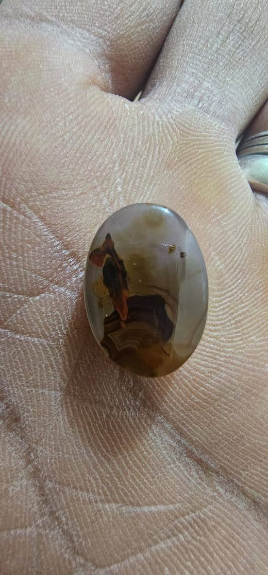 اللهم صل على محمد وال محمد يمانيه مصوره واضحه جدا شخص شايل رايه وكف علا تله أو سفينه طبيعيه لحديكسر بيهه لمايعرف لا يعلق ولعنده مثلهه اني اخذه لوحده يمي قيم سعر يليق بيهه مو تنطي سعر مال كسران جايبه قيمه عاليه ومابايع لين مو سعرهه لخاص مفتوح ومبين منو لشخص ليعرفا  لشخص هاذه ابو مصلحه


**إذا كنت صاحب هذا الإعلان وتريد حذفه لأي سبب، رجاءا أرسل رسالة إلى الدعم الفني**