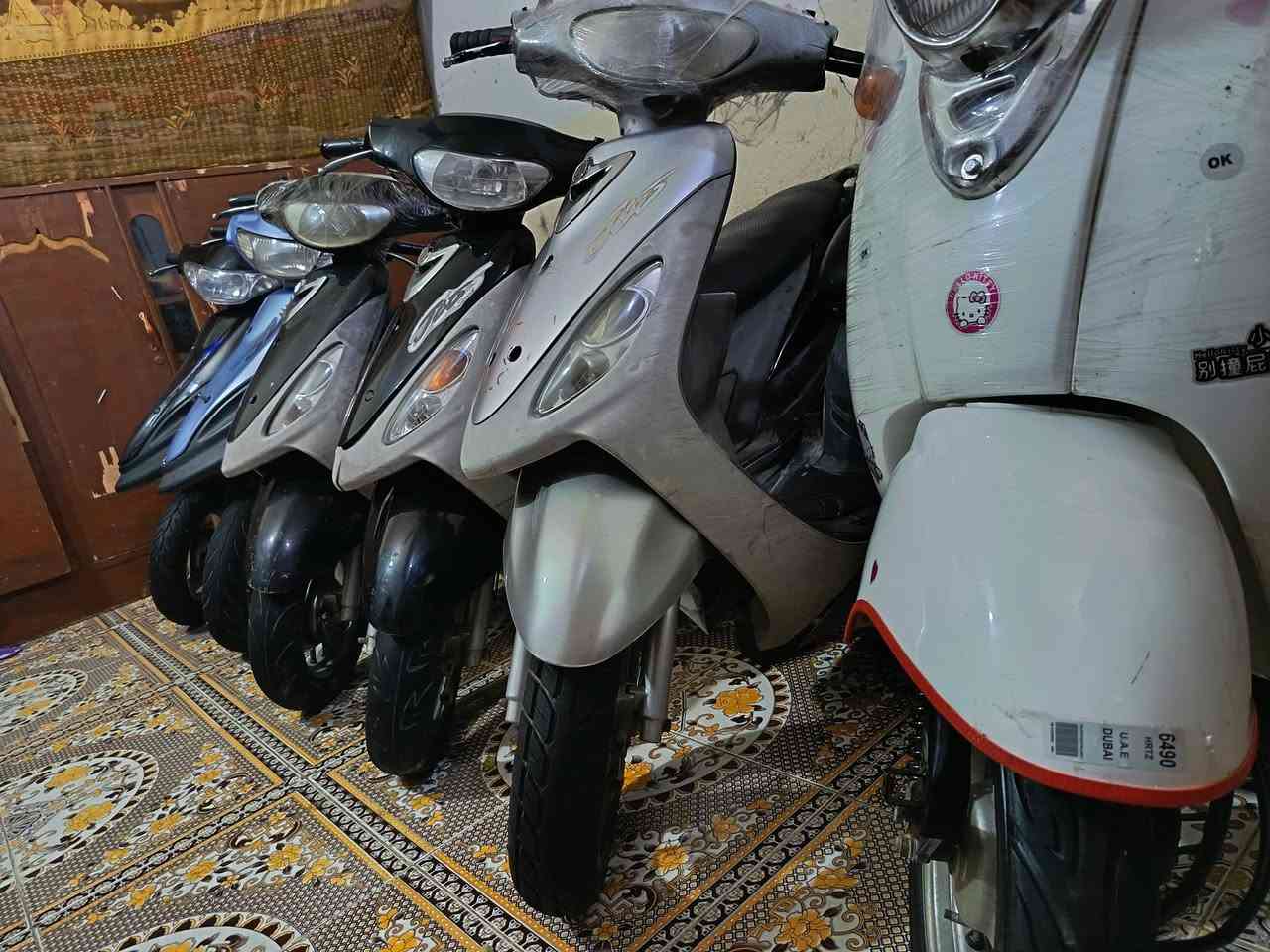 يالله
السلام عليكم شباب 50 بلاد 

ماكسات منغولي سعر  500

ماكسات قجم سعر  450

مصريه كلاسك سعر 350

سلف  كهربايات كلها

شغاله شلعه ومعدل

عنواني الناصريه مركز

رقمي وتساب

***********

الشراي يتصل او يراسلني ويدلل

بيهن مجال حك الجيه
