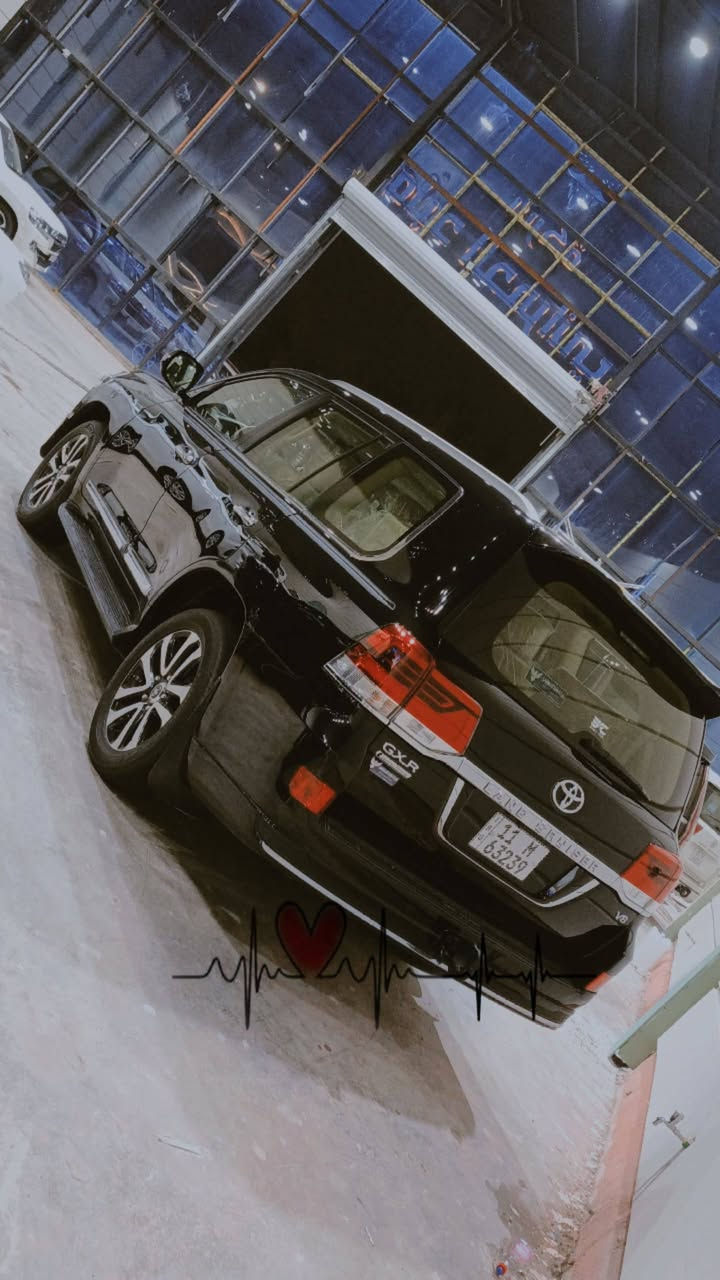 2019
***********
490
