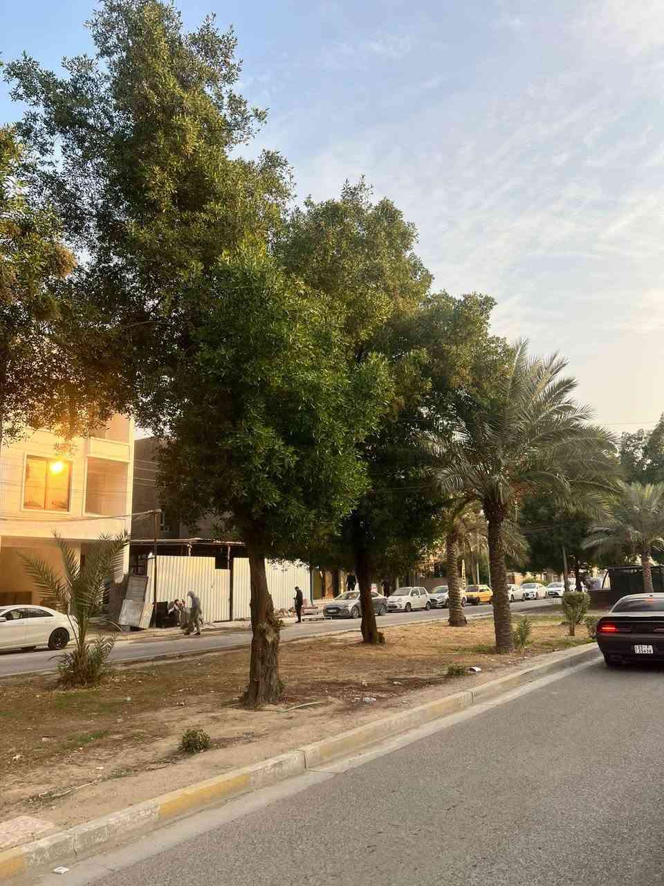 للايجار في #السيديه

قطعه تجاريه مساحه 150 م ☑️

جبهه 6  النزال 25 تصلح اي نشاط تجارري 💠

السيديه شارع النخل شارع 30 م سايدين 🔶

بدل الايجار ( مليون ونص قفل ) 🔒🔶

للأستفسار اكثر ☎️📞***********
