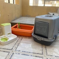 معطف فرو • سليمانية