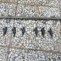 نوزلات • حجم ٢٠ • الموصل