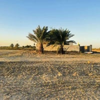 أرض زراعية • ١٢ دونم • طابو سند ٢٥