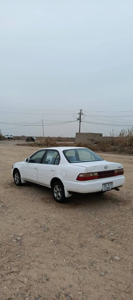 سلام عليكم سياره كورلا للبيع رقم بابل 18انكليزي مشروع وطني شرط تحويل ثاني يوم سنويه  2029تخم تاير حداديه جديده كهربائيّات كله شغاله كير ومكينه مكفولات سياره جاهزه دوشمه جديده دشبول مصبوغه عام جماليه مكفوله من الكص ونقل جثه والكلبه والعيب شرعي والضربه القويه عنوان واسط كوت سعر 53ورقه وبيه مجال شراي يتصل وبيه خير ويدلل ***********📞📞
