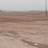 ٨ دونم • سند زراعي • مقابل محطة وطنية