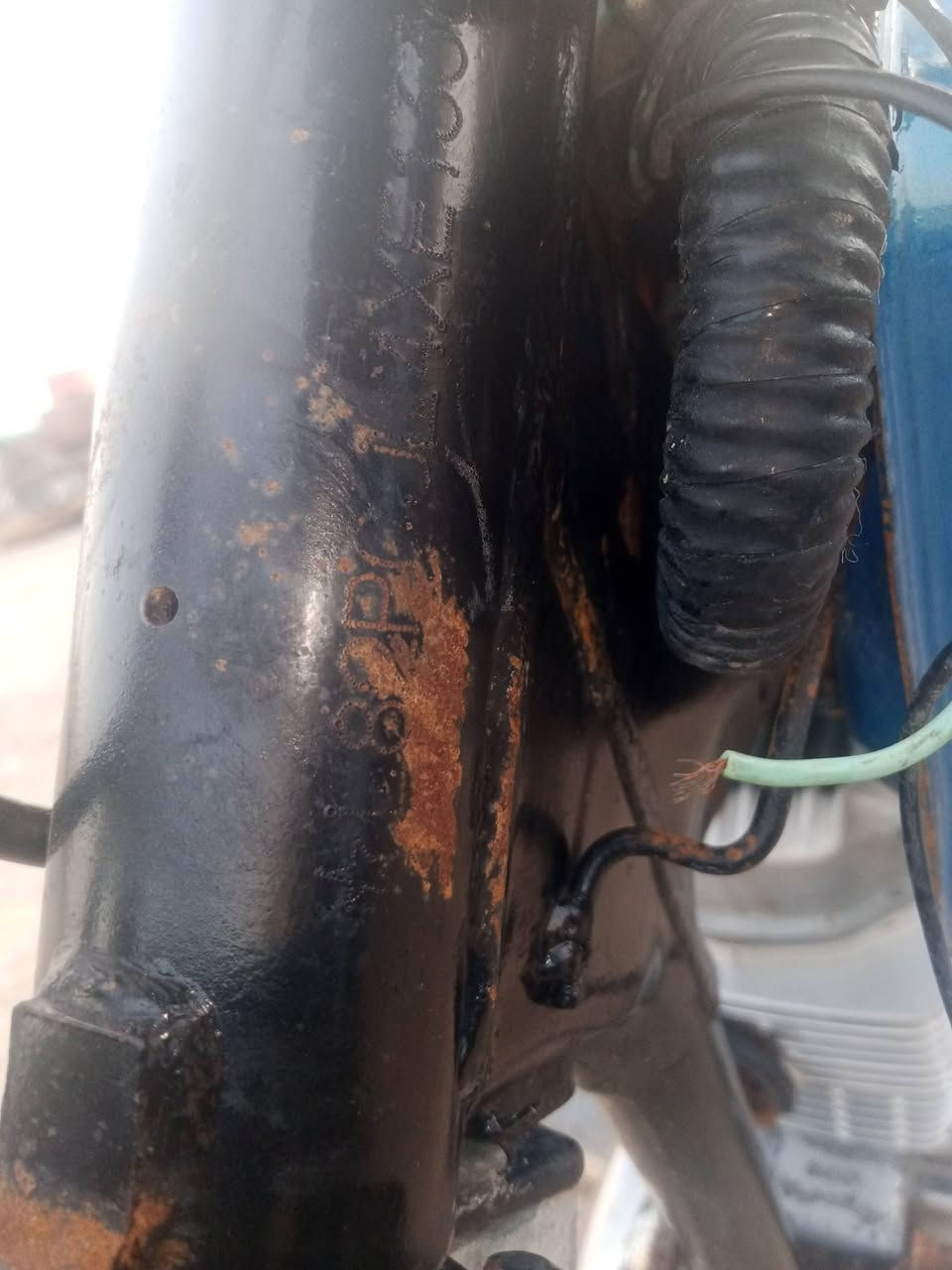 لليع ارشه ارواق اصولي5اوراق  مكان النعمانيه المثلث  *********** مال جناي 400بيه مجال
