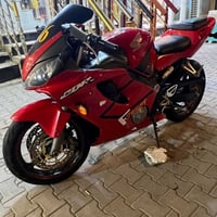 بطح • ٦٠٠ • بدون اوراق