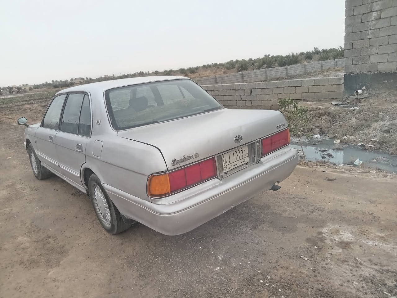 أرنب للبيع ألماني نجف مكينه وكير فيفيتي شرط َمكفولات حدادين جديده تغيرات جدد بريش عنبار جدد نقصه فقط تبرير مصبوغه جماليه المكان ناصريه البطحاء السعر ٥٠ بيه مجال قليل *********** ***********  بيه واتساب
