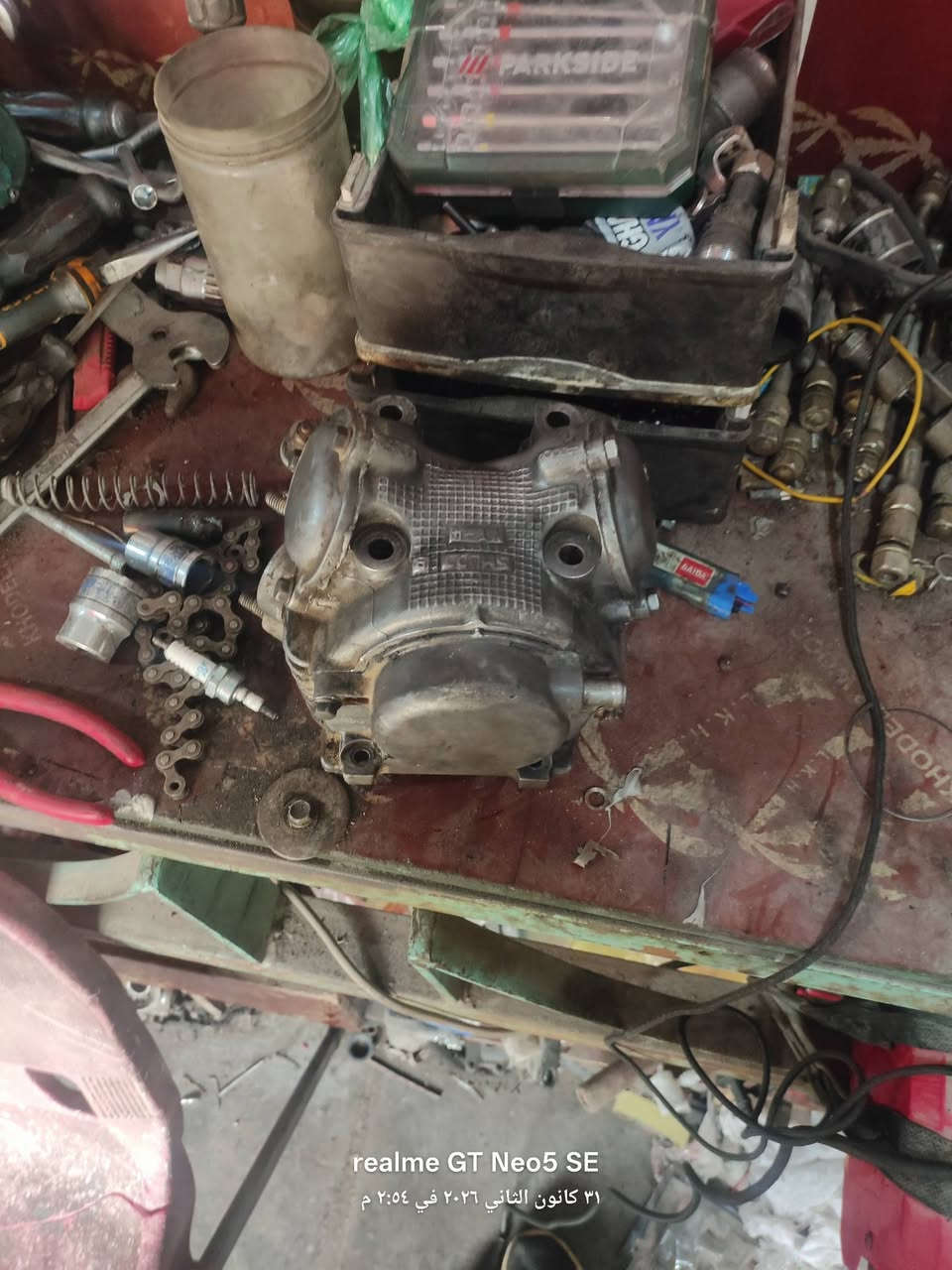 سلام عليكم للبيع كورات سكنس ١٤٠ فحل نضاف مثل مشوف سعر لقطعه ٥٠ الف عنوان بغداد البلديات ***********
