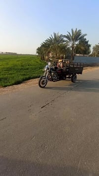 ستوته للبيع موديل 16 اوراق اصولي رقبه مقفوله ستوته نظيفه سعرها 61 00 و...