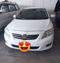 كورلا خليجي • ٢٠٠٩ • رقم أربيل