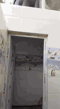 ميسان قطاع 84 • ٨٠م • ٣ غرف