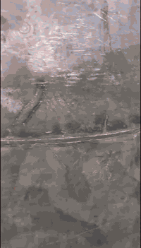 سلام عليكم من رخصت ادمن الكروب 
(اني لحام خزانات +. لحام مك +حداده عامه باب و شباك سقايف بانواعهه محجرات بانواعهه +ديكورات جبس بودركس + لحام مكينه اوتماتيك +مطبق) لي عنده شغل لا يقصر وطلع محفضات هاذا رقم تلفوني {***********}
