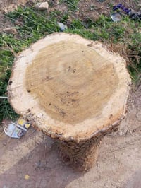 خشبة توث • ٤٠×٤٠ • بعقوبة