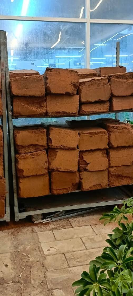 Coco peat قشور جوز الهند مكبوس
ارقى وسط زراعي وتربة للنباتات الظلية 
تايلندي المنشأ 
من تايلند الينا مباشرة 
صفر املاح + نقاوة عالية جداً
عند غمره بالماء 
يكون ٧٠ لتر من التربة الصالحة لزراعة كافة النباتات الظلية
سعر القطعة 
15000 توصيل مجاني
 الف دينار فقط


**إذا كنت صاحب هذا الإعلان وتريد حذفه لأي سبب، رجاءا أرسل رسالة إلى الدعم الفني**