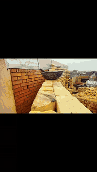 خلفات ٣ • خدمة منزلية • ميسان