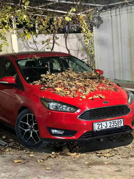 Ford Focus SEL 2017
مەچینە ٢٠٠٠ ٤ پستنی بێ تۆڕبۆی مەرغوب
فول مواسەفاتە
سلایت 
شاشە گەورە سۆنی  SYNC3 ئاخیر نوییە
سەماعە سۆنی و ئێمپلی فایر لە سندوقی
تەبرید لەمسە و ٢ زۆنە 
ویل ١٨ ی گەورە
ڵێدانەکەی زۆر سوکە بەبێ ژۆرێ 
ئیرباگی بەس شانی تەقیە
سەیارەکە ئی ماڵێیە هاتوچۆی زۆر پێ نەکرایە هەمووشتێکس نوێیە بەناوی خۆمە

 ***********

ئـەگەر سەیارەکەت دەفرۆشیت نامە بنێرە با بلاوی کەینەوە لۆت
