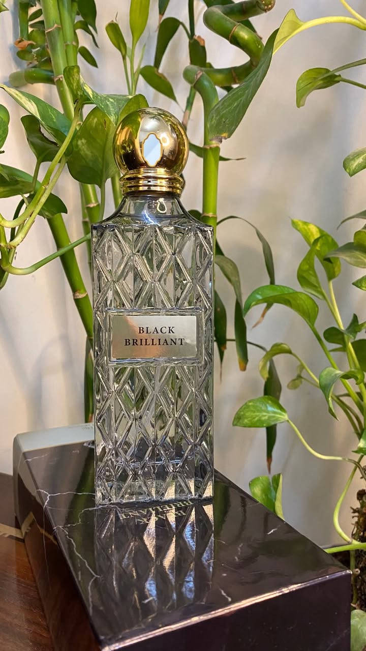 عطور إبراق وعساف وقصة 
ينفع هداية 
ماسترررر✅
الأسعار مناسبة


**إذا كنت صاحب هذا الإعلان وتريد حذفه لأي سبب، رجاءا أرسل رسالة إلى الدعم الفني**