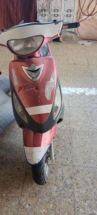 ماكس منغولي • مفتوحه • بوشة مبدلة