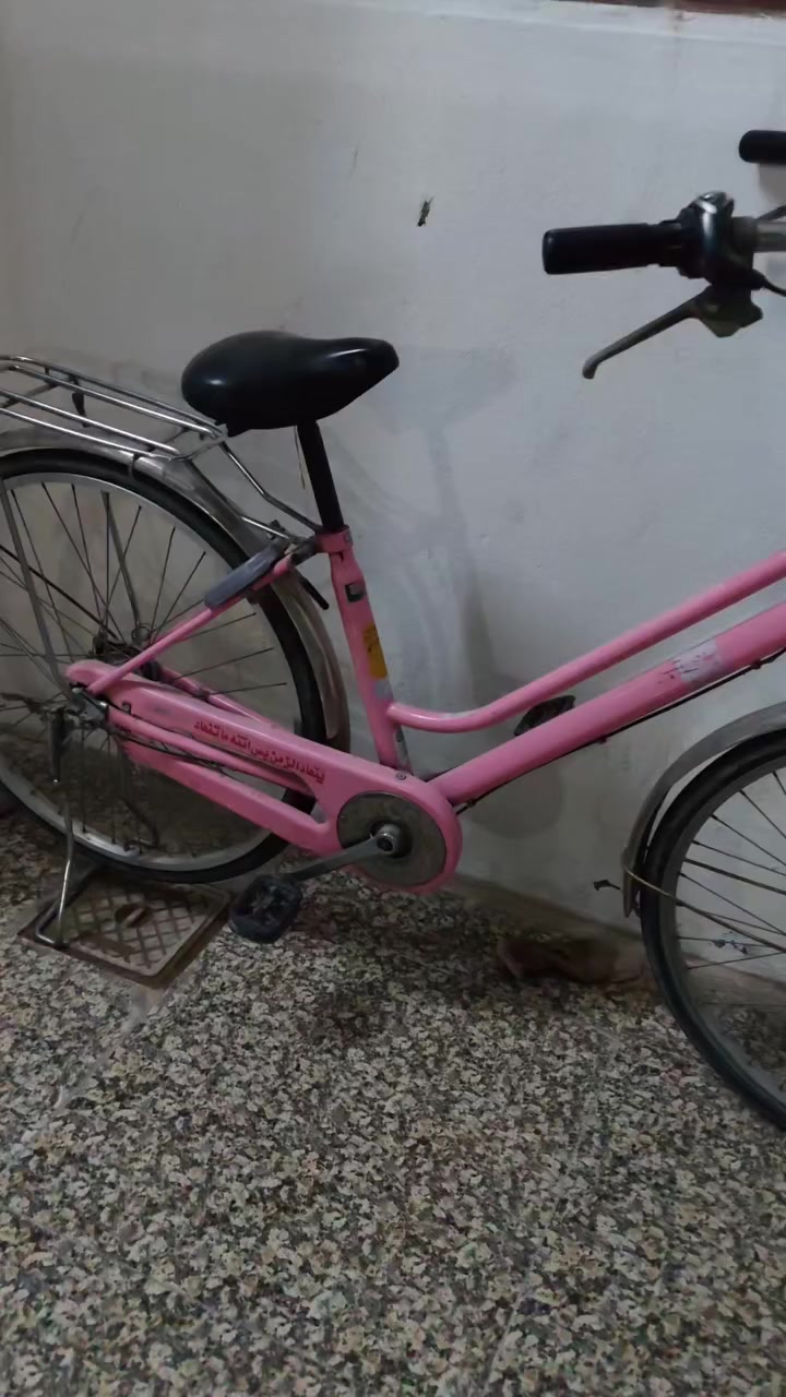 بايسكل ياباني نضيف كير داخلي السعر 65بي مجال


**إذا كنت صاحب هذا الإعلان وتريد حذفه لأي سبب، رجاءا أرسل رسالة إلى الدعم الفني**