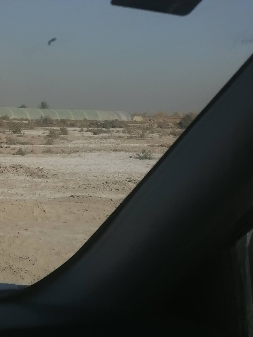 السلام عليكم ارض زراعية للبيع ٤دونم عقد ١١٧ المكان واسط الصويرة الرحمانية ***********
