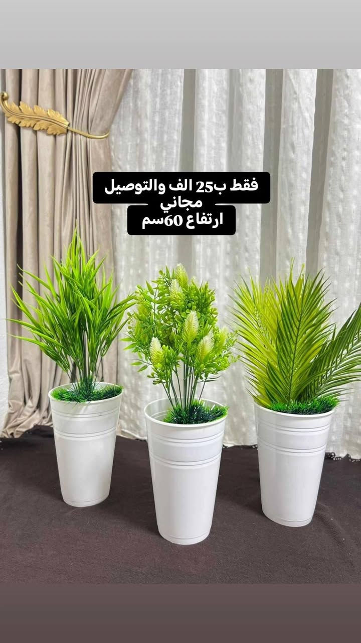 اخذوهن السيت الواحد ب25 الف والتوصيل مجاني عرض العيد 😍✅


**إذا كنت صاحب هذا الإعلان وتريد حذفه لأي سبب، رجاءا أرسل رسالة إلى الدعم الفني**
