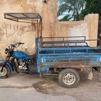 ستوتة دايوان • موديل 2009 • أوراق كاملة