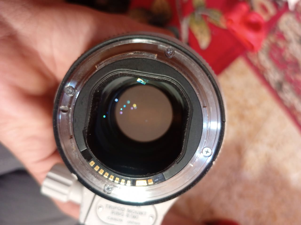 اكرر النشر بسبب الوعود الكاذبه عدسه 70_200 دبل استبلايزر فتحه 2.8 اصدار ثاني مابيها اي مشكله و اي ضرر العدسه مفوله وهيه غنيه عن التعرف اصحاب الخبره يعرفوها شنو  والله العظيم سبب البيع اريد ابدل  

مكاني بابل متواجد 24 ساعه بس علق واني اجيك خاص 
*********** وهذا رقمي لوتساب او اتصال
