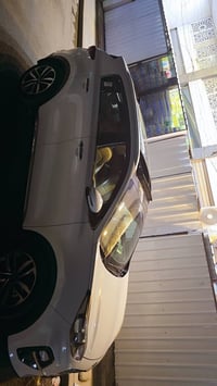 ٢٠١٩ • فول • بدون صبغ