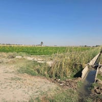 🌾 فرصة استثمارية مميزة للبيع 🌾 أرض زراعية بموقع استراتيجي:  المساحة: 5...