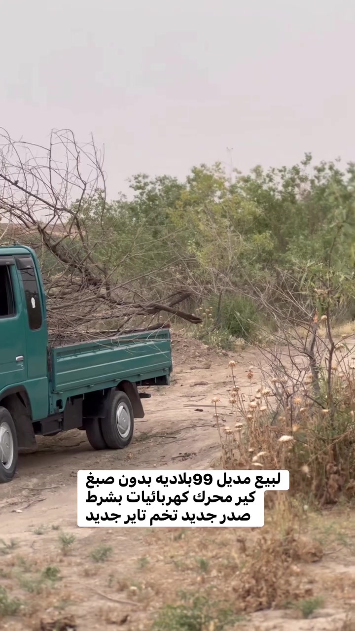 السعر65 خابرني وتدلل***********
