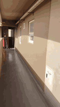 السلام وعليكم كادر صبغ وديكورات ورق جدران ***********
