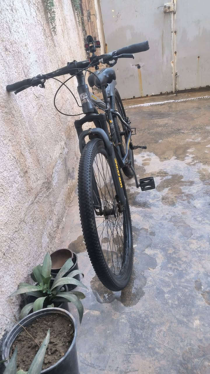 بايسكل جبلي 29 للبيع 🚴
7 سرعات
حالة التواير ممتازة
الديسكات مبدلات جديد قبل شهر
الدراجة مرتبة واستعمال خفيف
تبديل النمر يحتاج تصليح بسيط فقط والباقي كله شغال 👍

السعر: 200الف قابل للنقاش
الموقع: بغداد

للمهتم مراسلة خاص 📩


**إذا كنت صاحب هذا الإعلان وتريد حذفه لأي سبب، رجاءا أرسل رسالة إلى الدعم الفني**