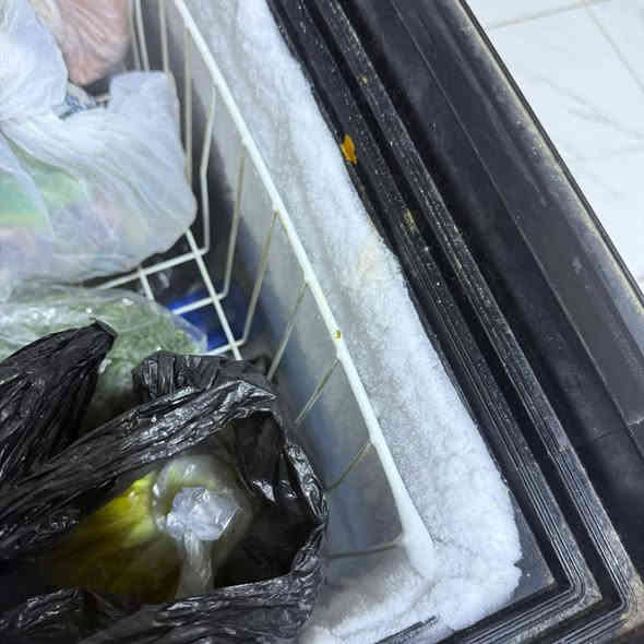 المجمده 200 وبيها مجال 

العارضه 250 

المعرض الخشب تسكام ب130 وبي مجال 

زويريجات ***********
