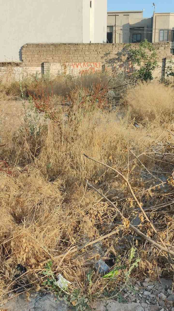 ارض بالطيران مساحه ١٥١متر واجهه ٧ مكان حلو ومميز ومنطقه هادئه للاستفسار داخل الفرع في الشارع العام  ***********
