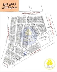 العربي الثانية • ٢٤٠م • طابو الزهور