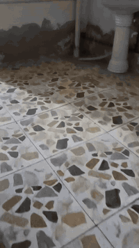 غرفتين • ارضى • حي الحسين