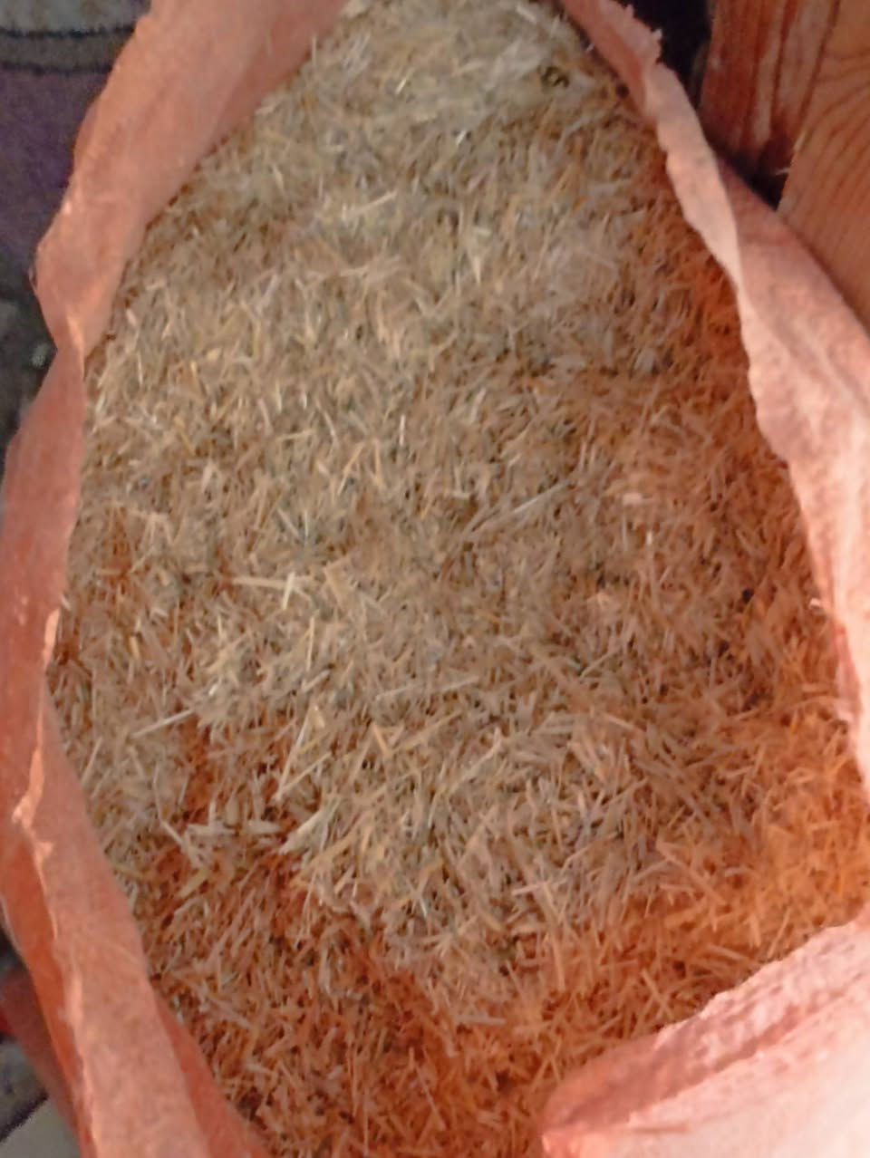 سلام عليكم يوجد تبن مطحون طحنته لحلالي بيه شليف وبيه أقل إلي يريدهن يقيم بما يرضي الله مكاني نجف حي ميسان 
***********
