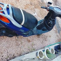 دولفين للبيع عوزهة تلحيضات السعر عله هاذه الرقم 07765793797بس واتساب ا...