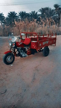 ستوته • موديل 16 • زبيديه