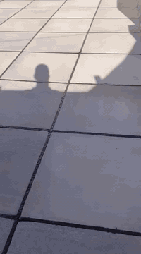 بما انو جاءنا موسم الشتاء وراح يجينه المطر لحك اشتغل سطح بيتك وحافظ على بيتك من الرطوبه 

 بعض اعمالنا اعاده وتصليح ماستك السطوح القديمه والجديده ومثل مدتشوفون عمل درجه اولئ واهم شي نظافه السطح والشتايكر  
حتى تخلص من نضوح الماء وتحافظ علئ بيتك

سعر المتر كرستا وعمل كلشي علينه وتستلم شغل جاهز ودرجه اولئ الفين دينار  فقط احمد الشمري ***********الاتصال  او واتساب
***********
