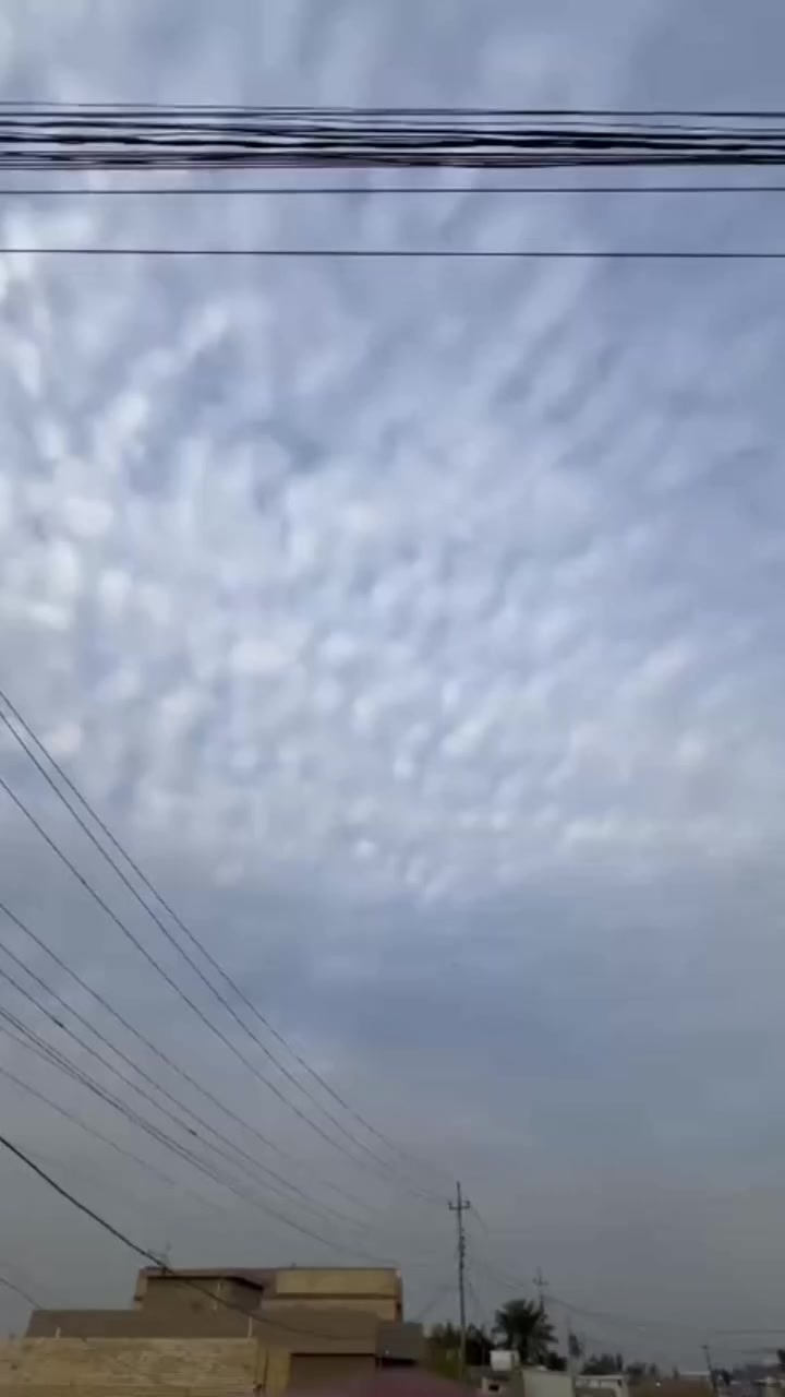 السلام عليكم عشرين لبيع اوروق اورق التكتك  حلو كلش احله من الصور التكتك اورق اصليه اويك لترقيم المكان بغداد جسر ديالى القديم ***********
