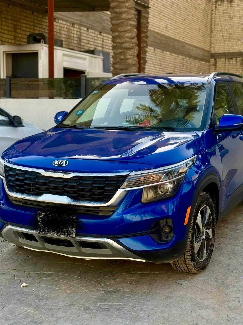 سليتوس 2021
رقم بغداد وبأسمي ماشيه 60  محرك 2000 دوش 
حادثها جاملغ امامي بامريكا 
طخه الباب خلفي هنا ابغداد مصلح
رادار وحساسات 
3 انظمه قياده
تبريد كشنات ً جلد 
أشاير بالمري 
سعرها ١٣٥
مكاني حي الاساتذه مقابل حي العامل 
***********
