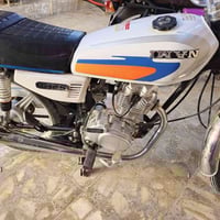 إيراني • معمرة سنوية • رقم كربلاء