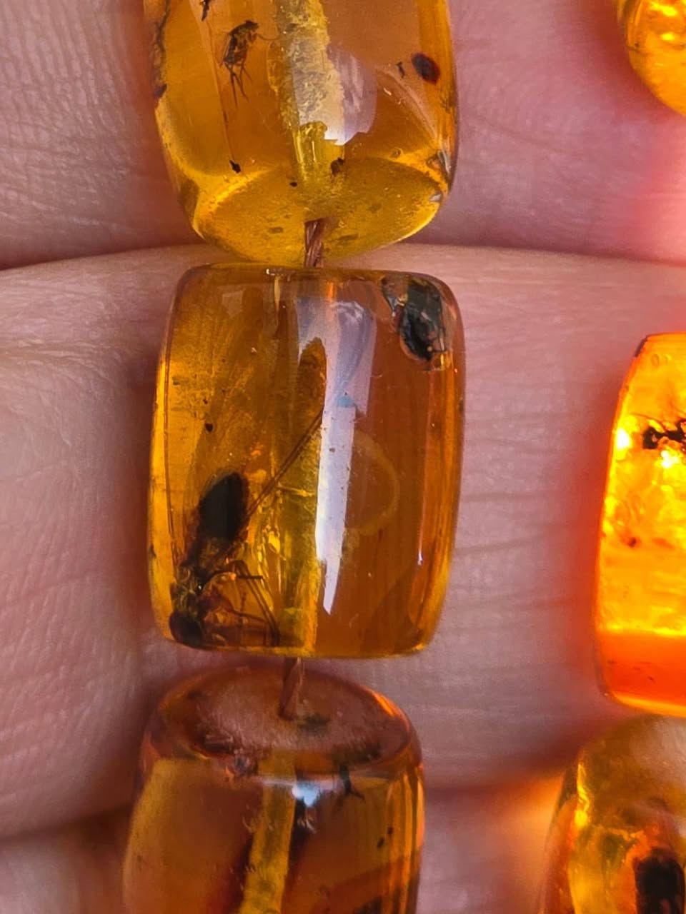 وعلى المامش .... علمّتني
أنا حب هوايه كبلك ذوّباني
شلون اوصفك .... وانت كهرب
شلون اوصفك .... وانت دفتر .... وآني جلمه

مسباح كهرب يعجز الوصف عنه  كل خرزه فيها ٢ الى ٤ حشرات  قطعه لاتتكرر بسهوله 
وزن ٥٠ غرام
*********** واتساب
